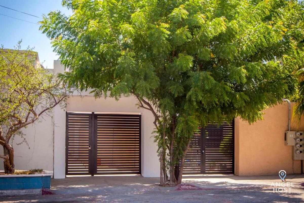 Downtown Room With Pool Bbq And Near All The Hotspots La Paz Eksteriør bilde